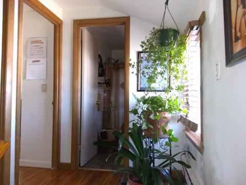 72 Tulsa St, Springfield, MA 01118 photo 8