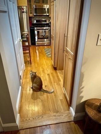21 Payson Rd, Brookline, MA 02467 photo 13