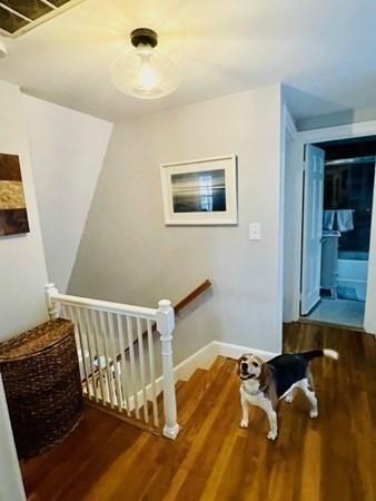 21 Payson Rd, Brookline, MA 02467 photo 27
