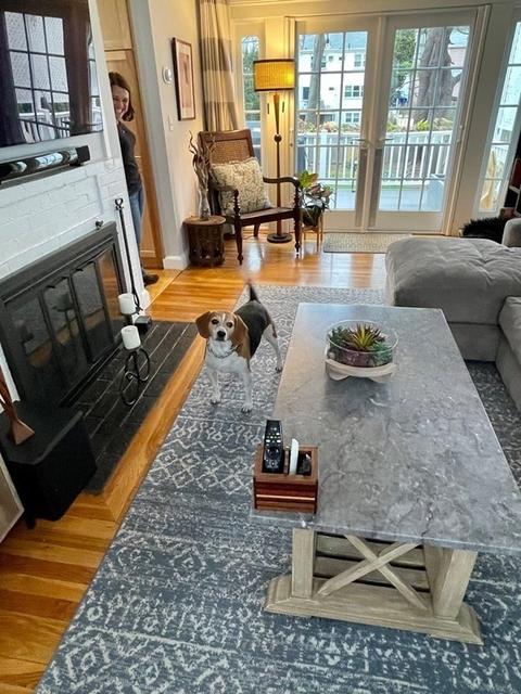 21 Payson Rd, Brookline, MA 02467 photo 19