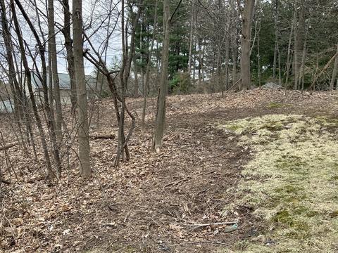 20 Griggs St, Dracut, MA 01826 photo 15