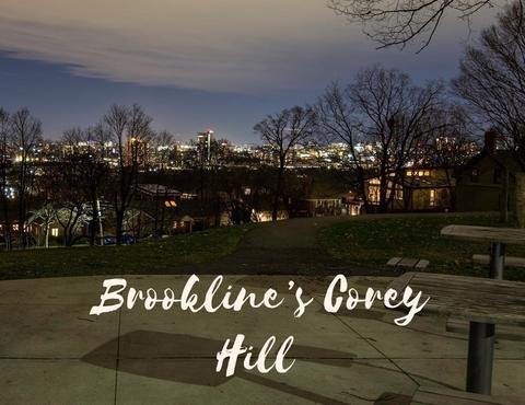 100 Jordan, Brookline, MA 02446 photo 36