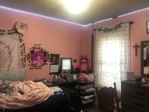 27 Noel St, Springfield, MA 01108 photo 12
