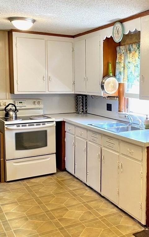 21 Jean Dr, Springfield, MA 01104 photo 5
