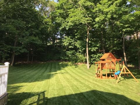 205 Curve St, Dedham, MA 02026 photo 31