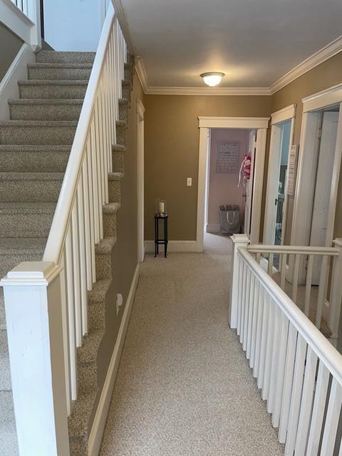 147 Coolidge Rd, Worcester, MA 01602 photo 14