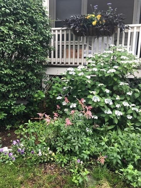 7 Doane Ave, Beverly, MA 01915 photo 35