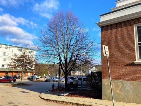979 Main St, Walpole, MA 02081 photo 8