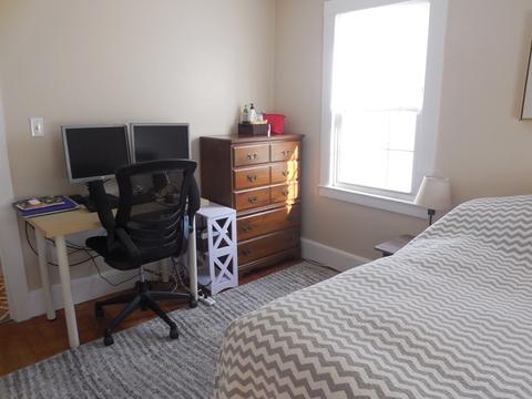 3 Delaval Rd, Worcester, MA 01606 photo 19