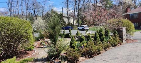 11 Cynthia, Dedham, MA 02026 photo 5