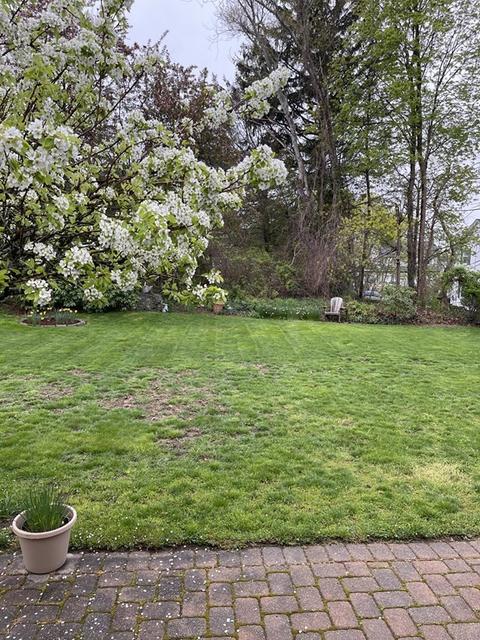 131 Valentine St, Fall River, MA 02720 photo 6