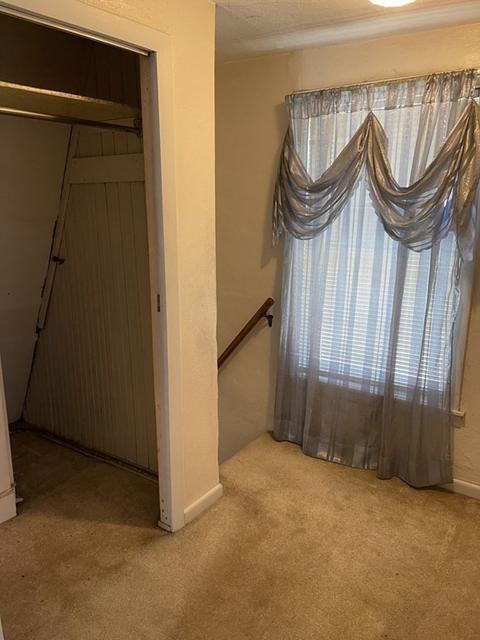 28 Cole St, Springfield, MA 01119 photo 16