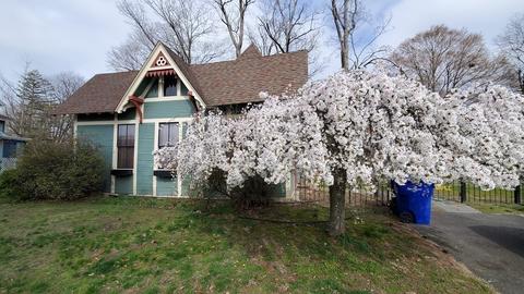 360 Maple St, Springfield, MA 01105 photo 4