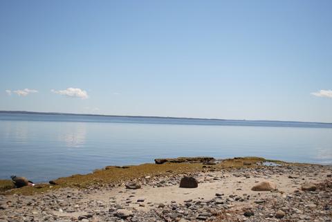 124 Ocean Ave, Warwick, RI 02889 photo 32
