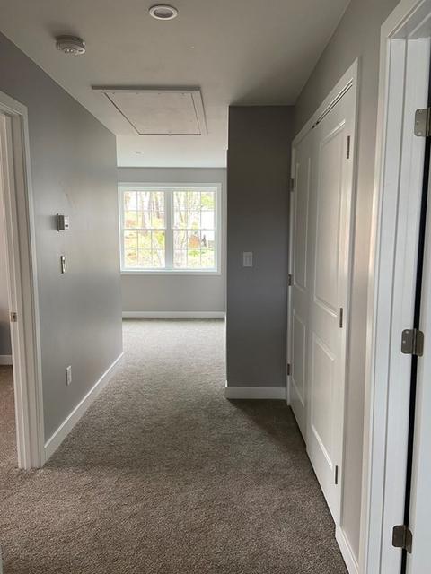 55 Drexel St, Worcester, MA 01602 photo 37
