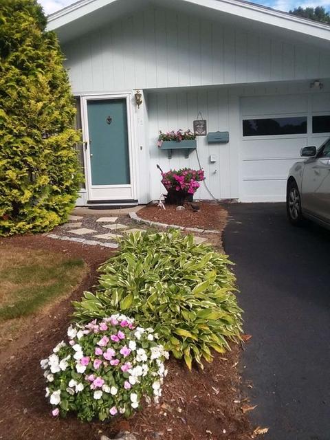 72 Gregory Rd, Framingham, MA 01701 photo 2