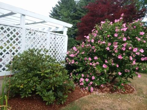 72 Gregory Rd, Framingham, MA 01701 photo 26