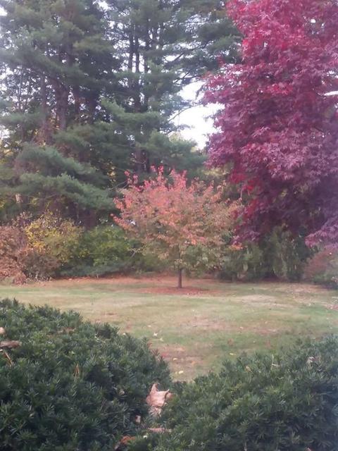 72 Gregory Rd, Framingham, MA 01701 photo 29