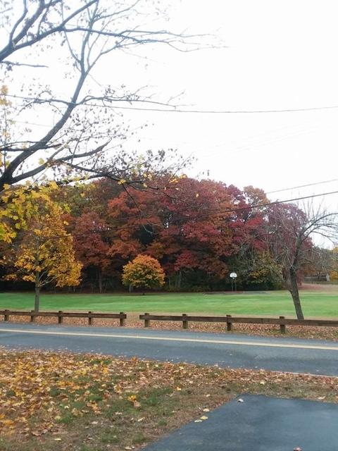 72 Gregory Rd, Framingham, MA 01701 photo 32