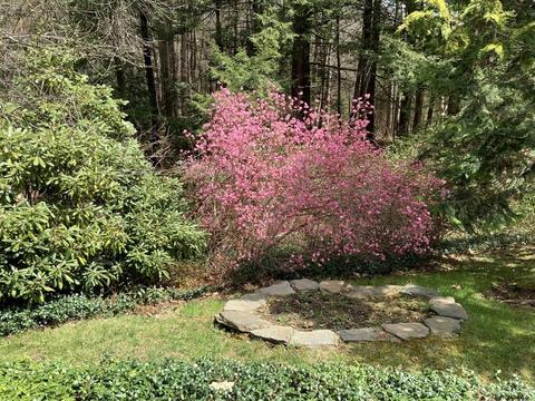 2201 Conway Rd, Ashfield, MA 01330 photo 34