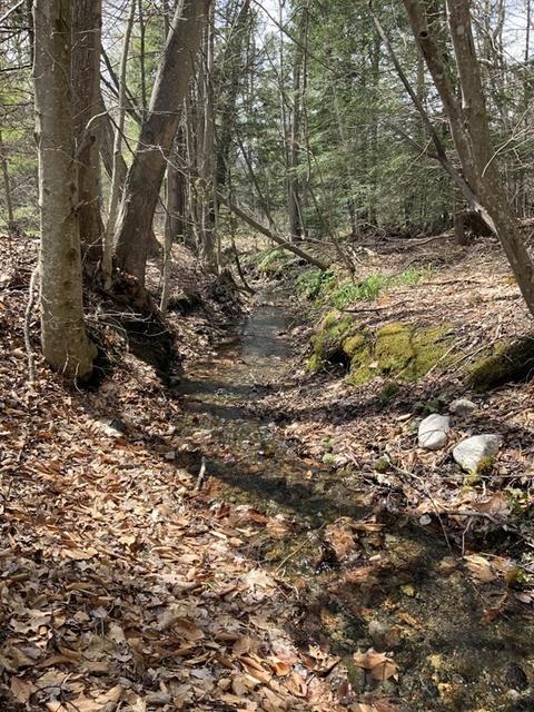 2201 Conway Rd, Ashfield, MA 01330 photo 35