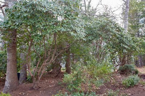 357 White Oak Trl, Barnstable, MA 02632 photo 25
