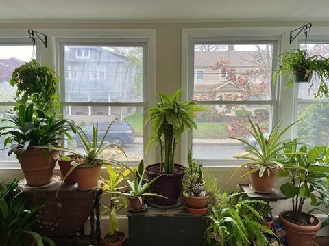 404 Langley St, Fall River, MA 02720 photo 4
