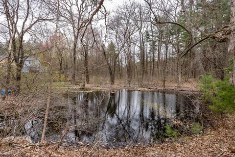 37 Eliot St, Canton, MA 02021 photo 22