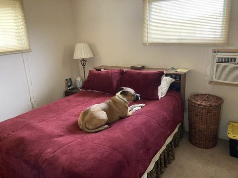 26 Hayes St, Woonsocket, RI 02895 photo 20