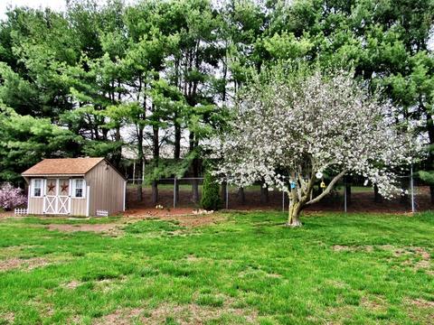 11 Laurel Dr, Ware, MA 01082 photo 6