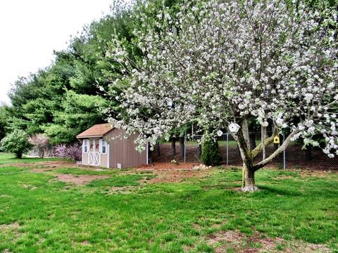 11 Laurel Dr, Ware, MA 01082 photo 7