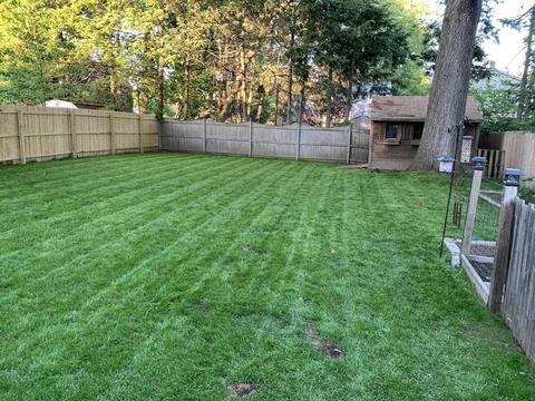 89 Roosevelt Ave, Springfield, MA 01118 photo 25