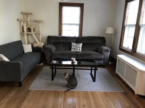 110 Parker St, Springfield, MA 01151 photo 9