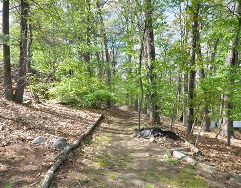13 Abbott Rd, Maynard, MA 01754 photo 35