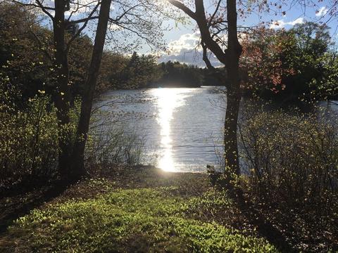 2 Burdon St, Sutton, MA 01590 photo 18