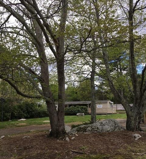 2 Burdon St, Sutton, MA 01590 photo 1