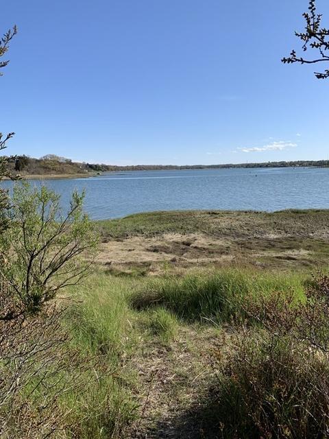 20 Pheasant Run, Eastham, MA 02642 photo 40