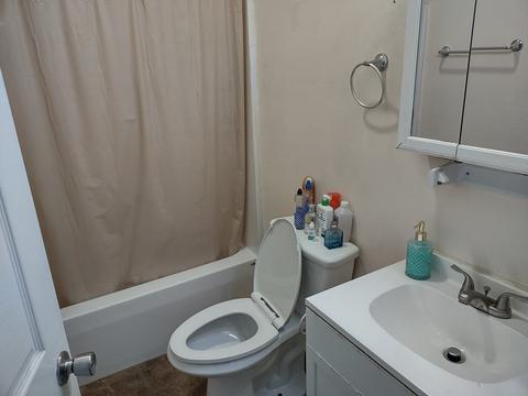 3 Oakwood Ter, Springfield, MA 01109 photo 6