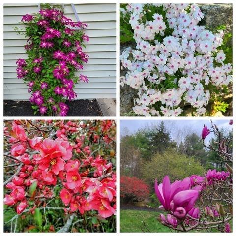 142 Williams Rd, Ashburnham, MA 01430 photo 41