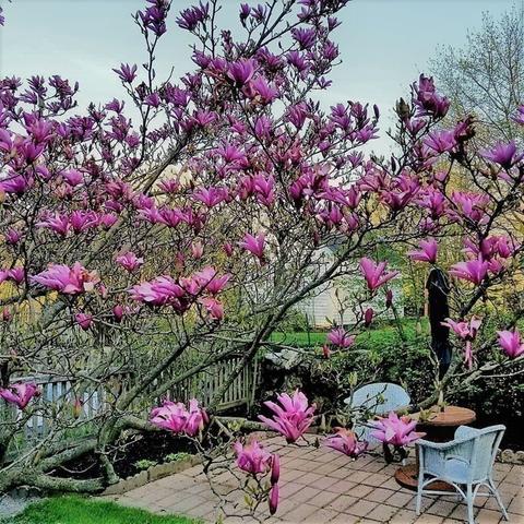 142 Williams Rd, Ashburnham, MA 01430 photo 34