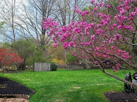 142 Williams Rd, Ashburnham, MA 01430 photo 28