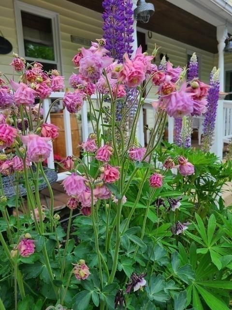 142 Williams Rd, Ashburnham, MA 01430 photo 37