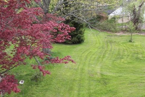 13 Florence Rd, Easthampton, MA 01027 photo 6