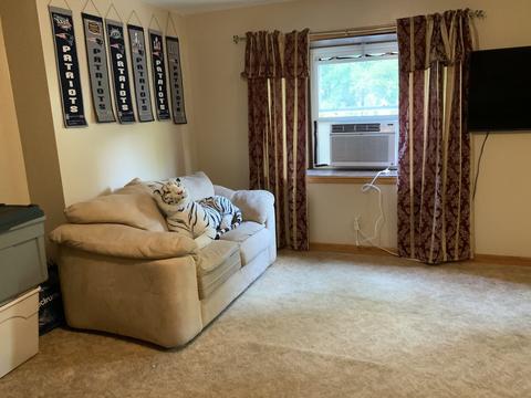 6 Tilbury St, Worcester, MA 01603 photo 20