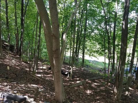 169 High St, Athol, MA 01331 photo 18