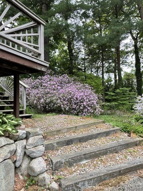 30 Summit Rd, Wellesley, MA 02482 photo 5