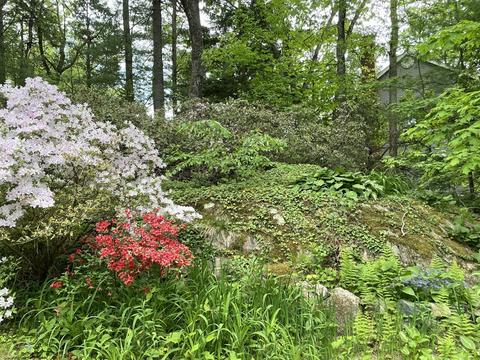 30 Summit Rd, Wellesley, MA 02482 photo 2