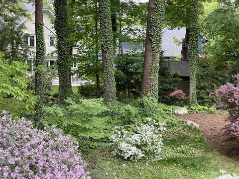 30 Summit Rd, Wellesley, MA 02482 photo 6
