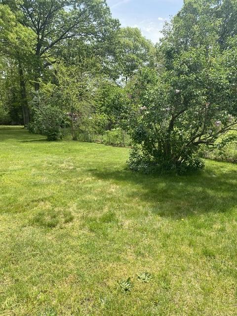 211 Plain St, Rehoboth, MA 02769 photo 4