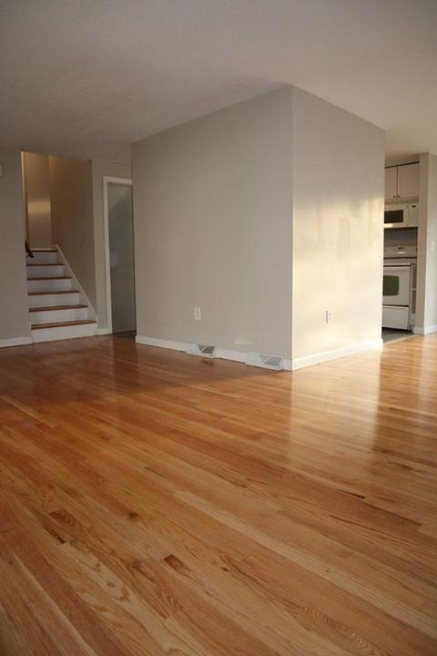 50 Tamarack Dr, Springfield, MA 01129 photo 10